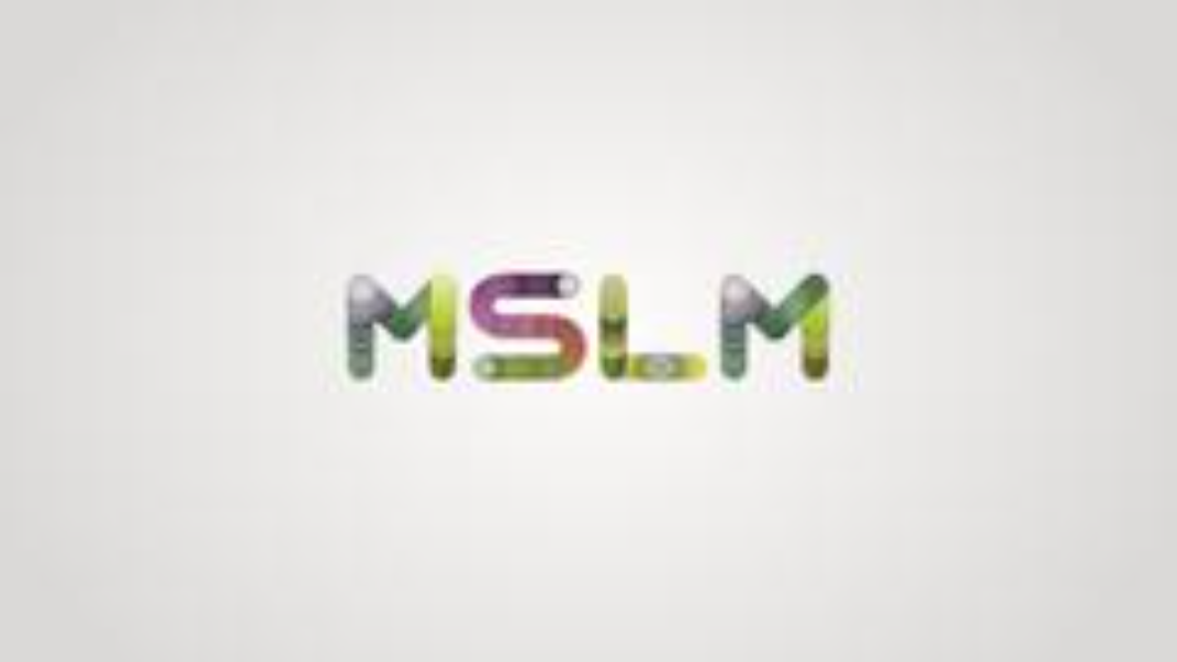 Senior net developer. Mslm.